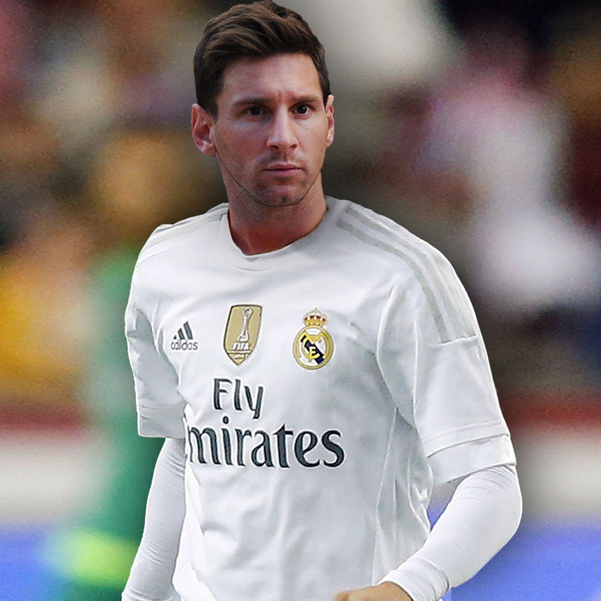 映体系是